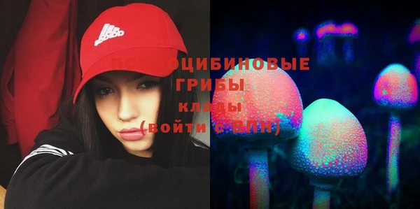 дурь Алзамай