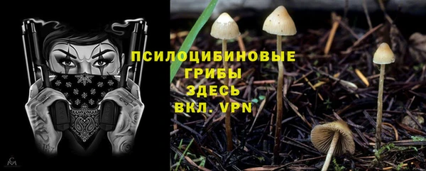 2c-b Пролетарск