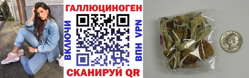 Псилоцибиновые грибы Cubensis  mega как зайти  Чебаркуль  закладки 